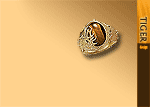 Desktop wallpapers: tiger eye